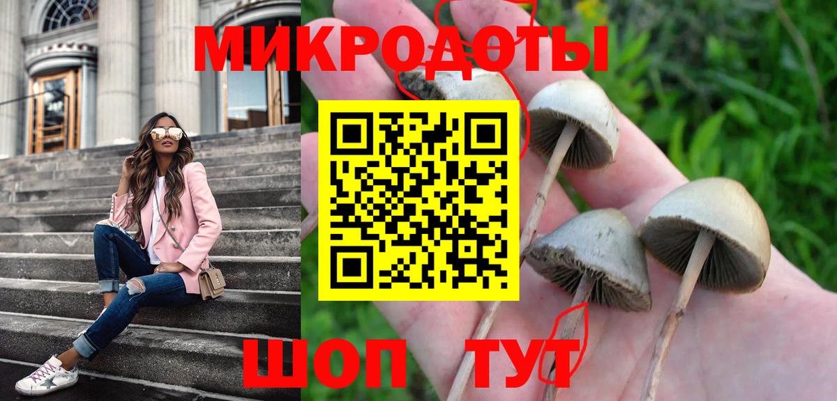 Краснознаменск  Галлюциногенные грибы Cubensis  Вход с VPN  Галлюциногенные грибы Magic Shrooms 