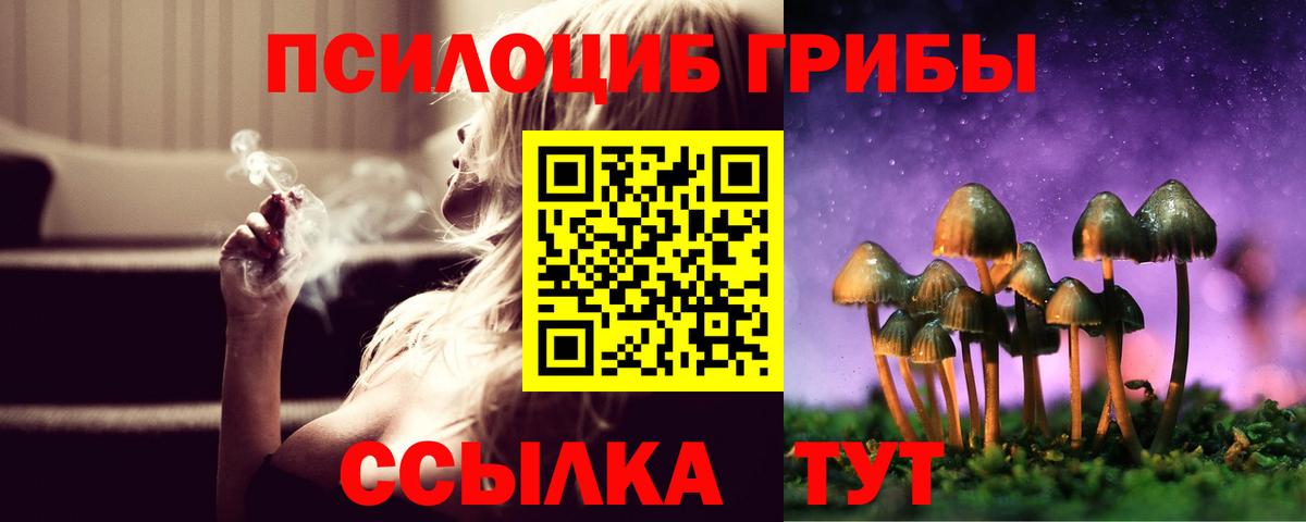 Галлюциногенные грибы Psilocybine cubensis Краснознаменск
